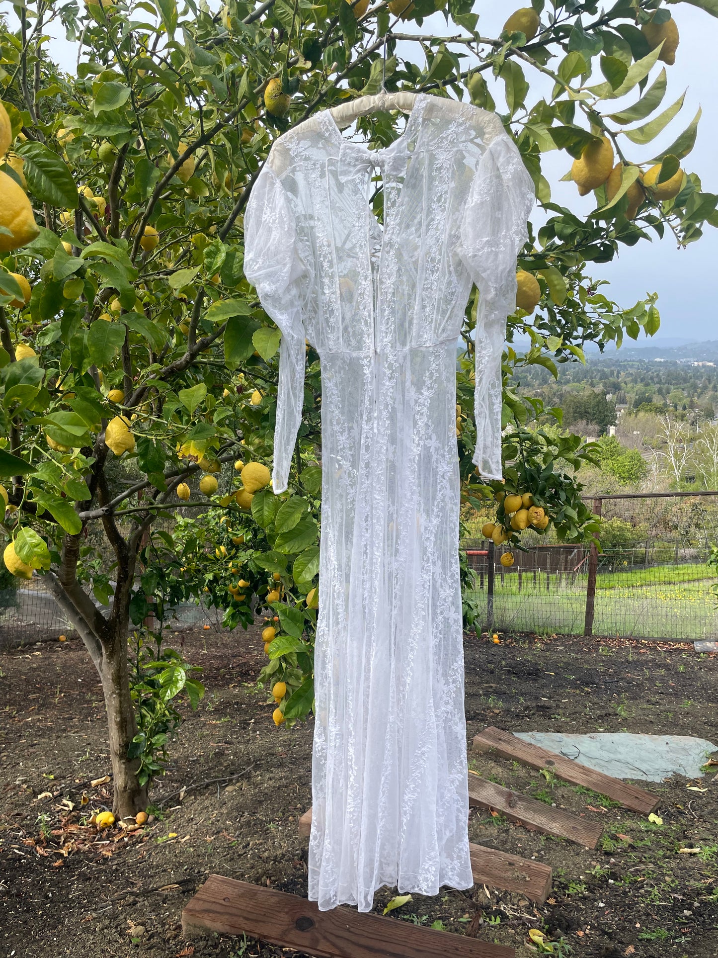 Edwardian Embroidered Net Lace Gigot Sleeve Bridal Gown