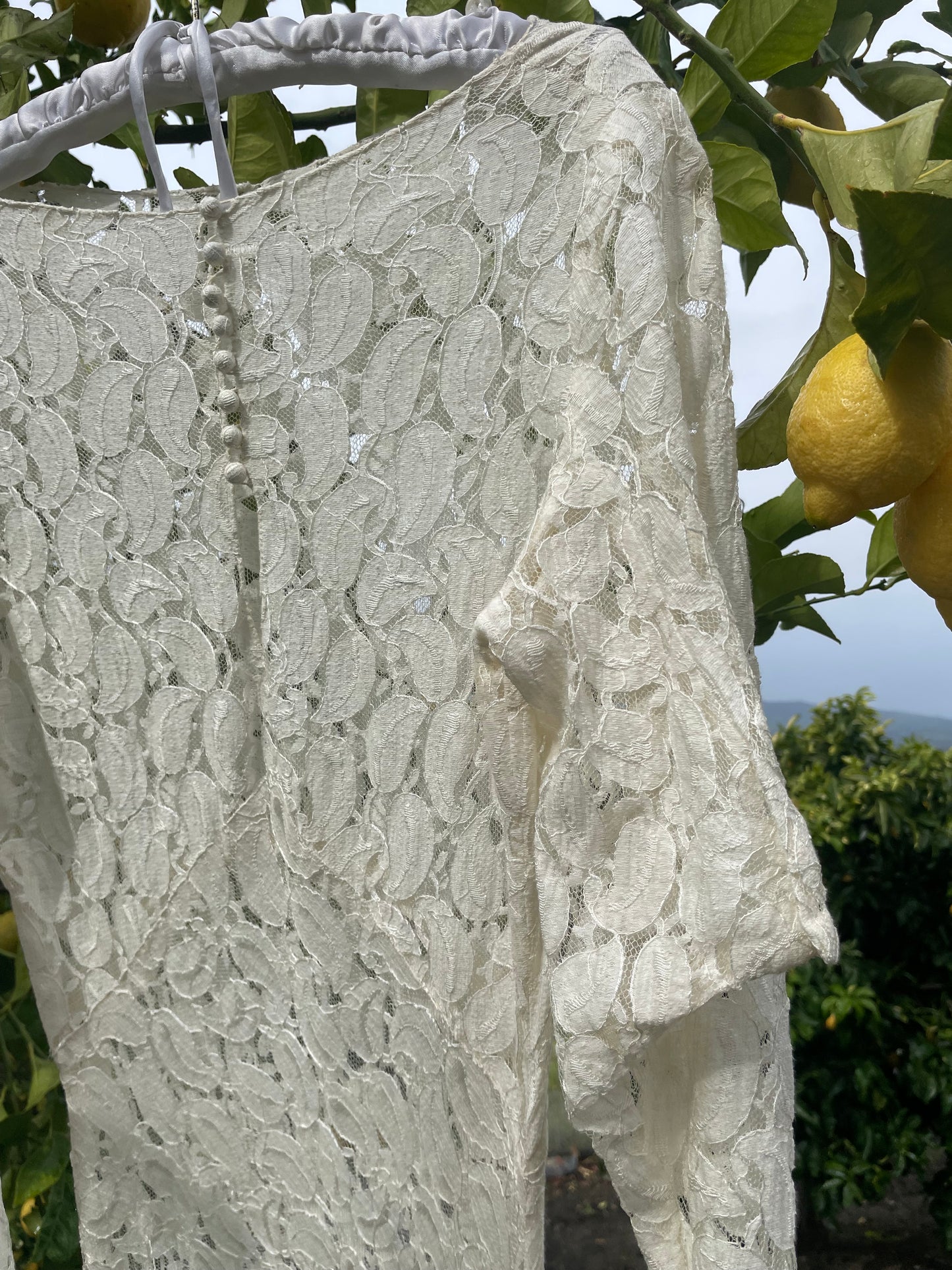 1930s Eggshell Lace Long Sleeve Gown