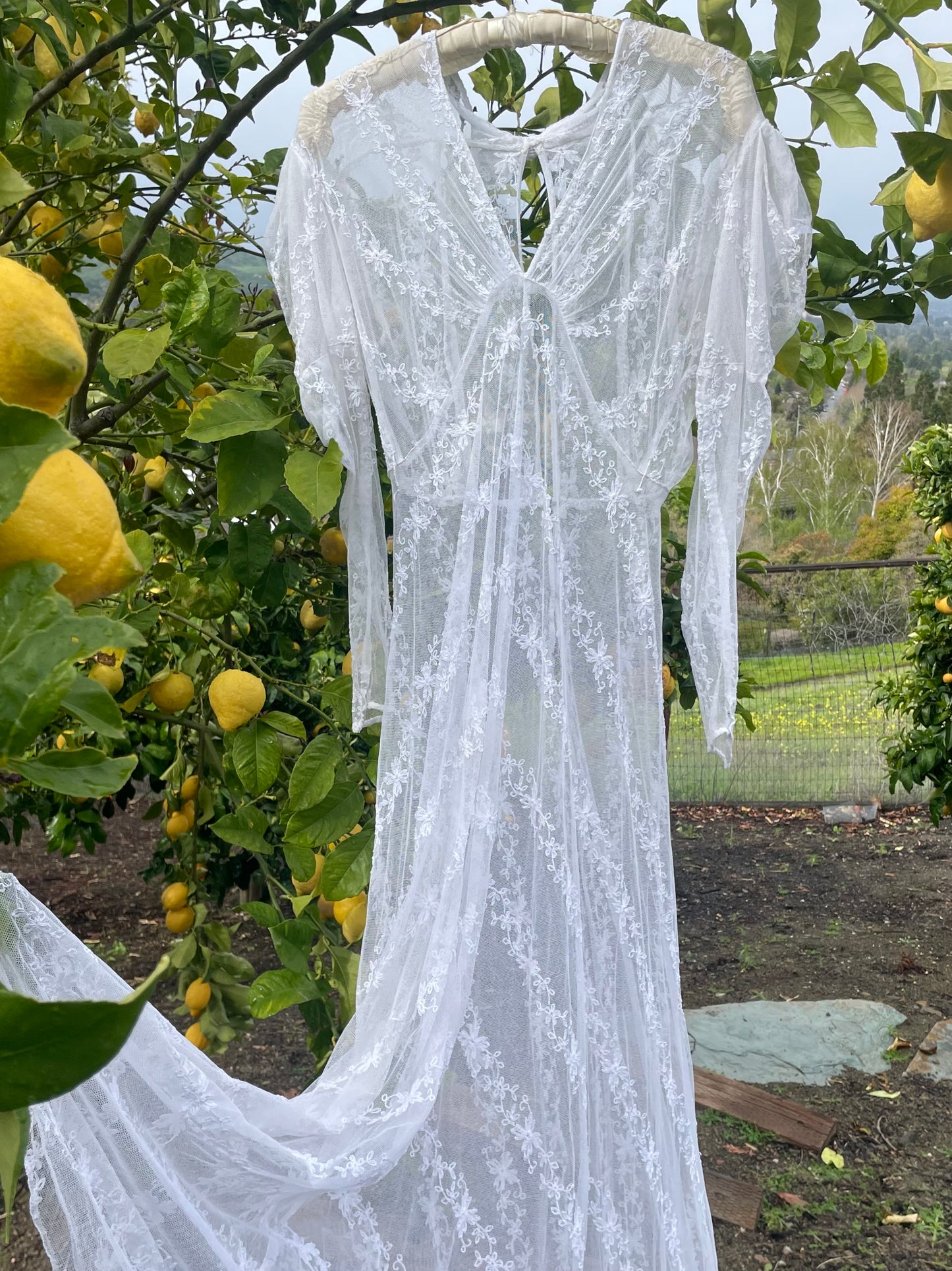 Edwardian Embroidered Net Lace Gigot Sleeve Bridal Gown
