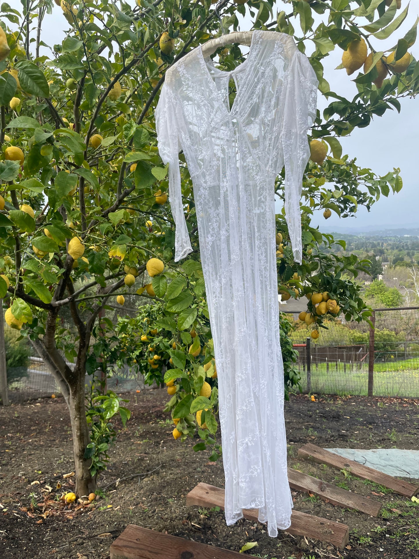 Edwardian Embroidered Net Lace Gigot Sleeve Bridal Gown