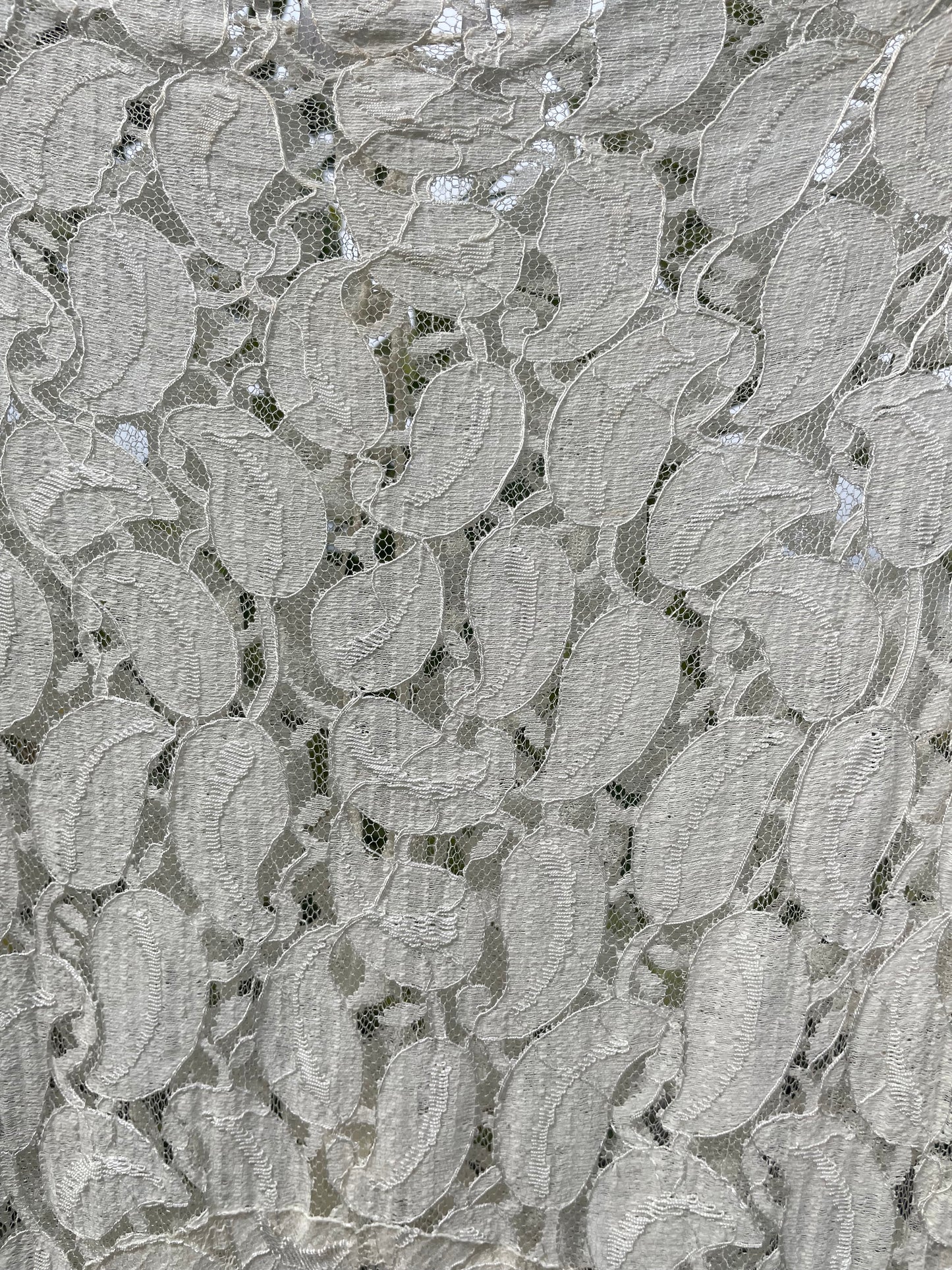 1930s Eggshell Lace Long Sleeve Gown