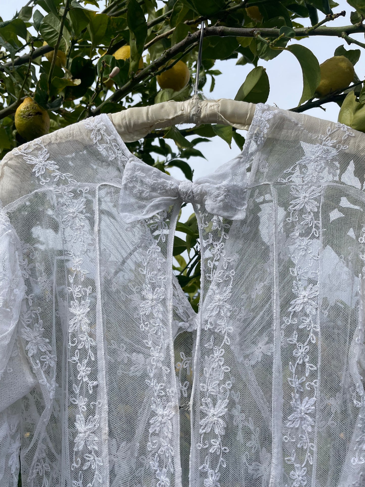 Edwardian Embroidered Net Lace Gigot Sleeve Bridal Gown