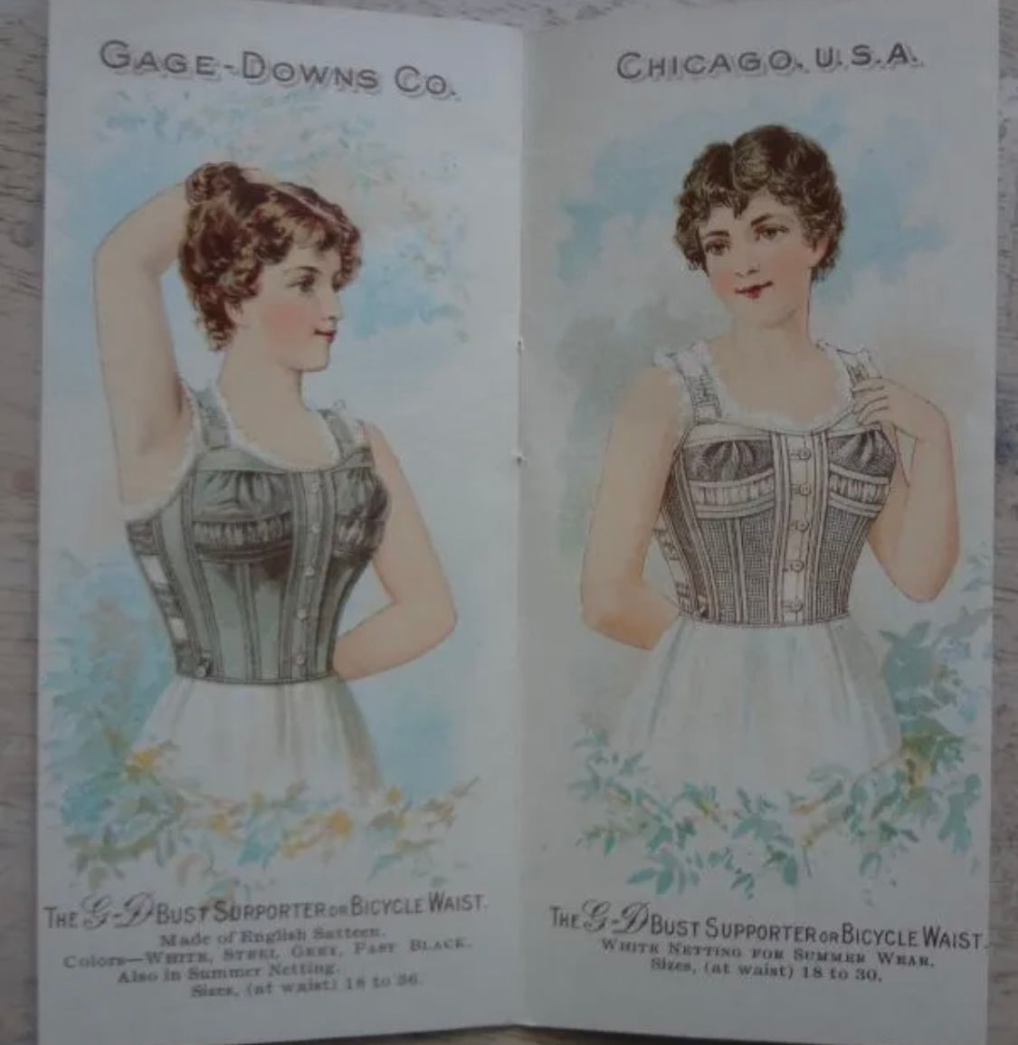 RARE Late 1890s Gage-Downs Co. Bust Supporter/ Bicycle Waist