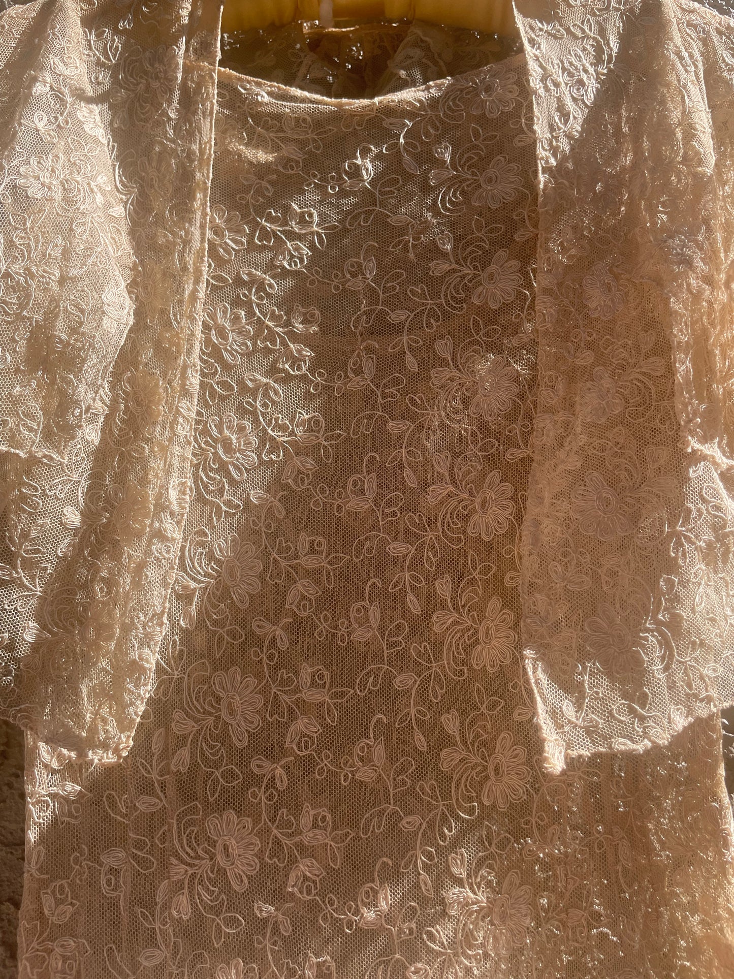 1930s Three Piece Ecru Tambour Lace Flutter Sleeve Gown