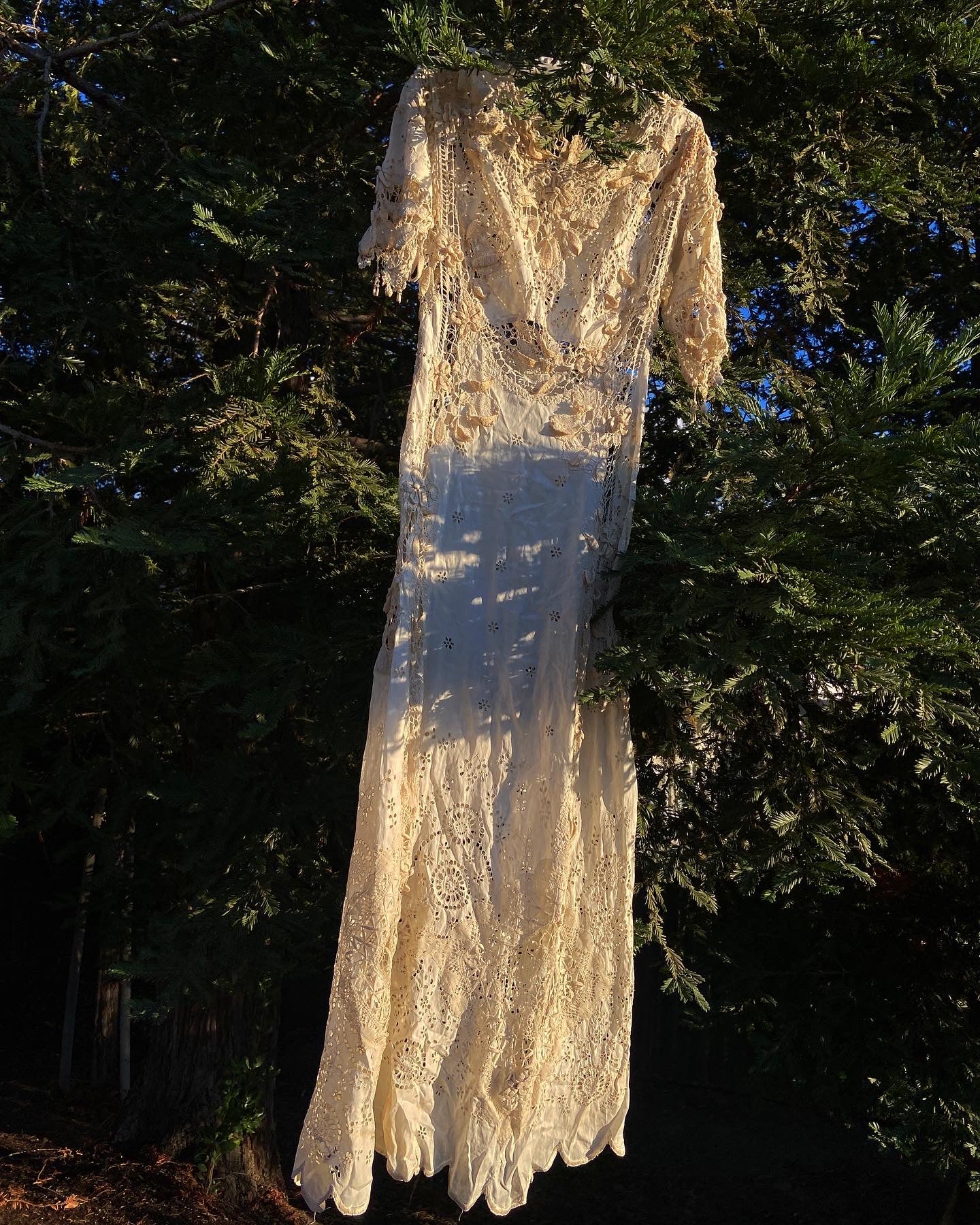 Antique Titanic Era Hand Sewn Eyelet Irish Lace Gown
