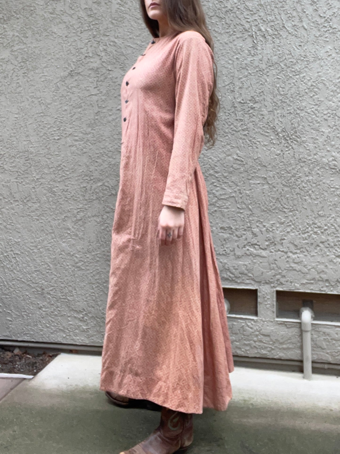 1870s Roller Print Cotton Prairie Dress
