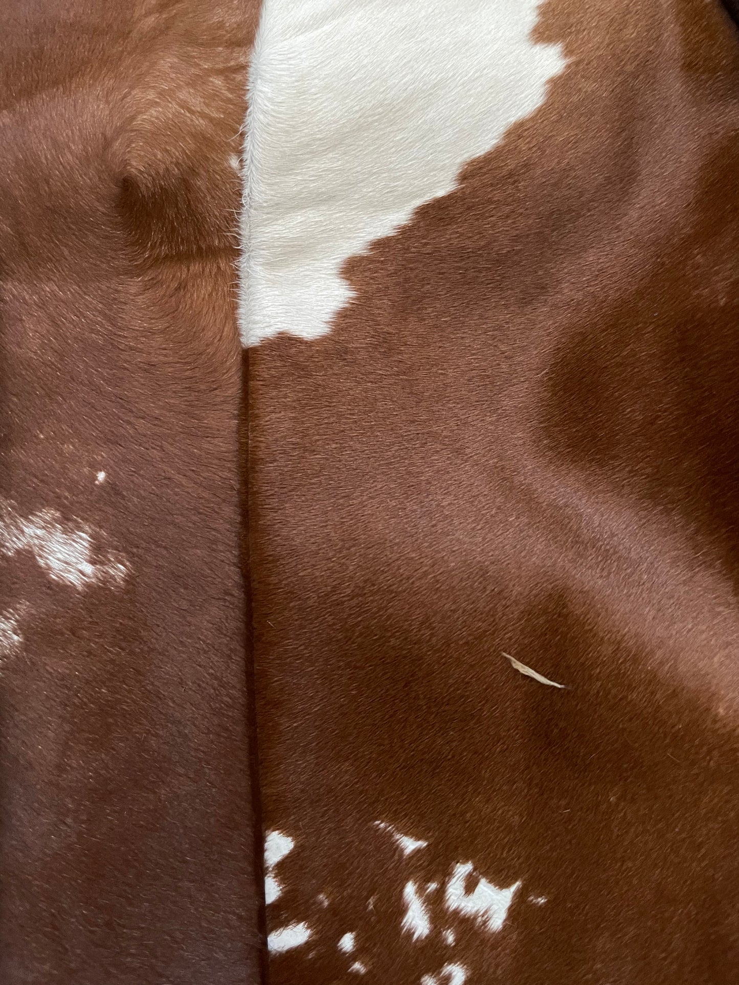 1930s Two Tone Cowhide Cropped Jacket