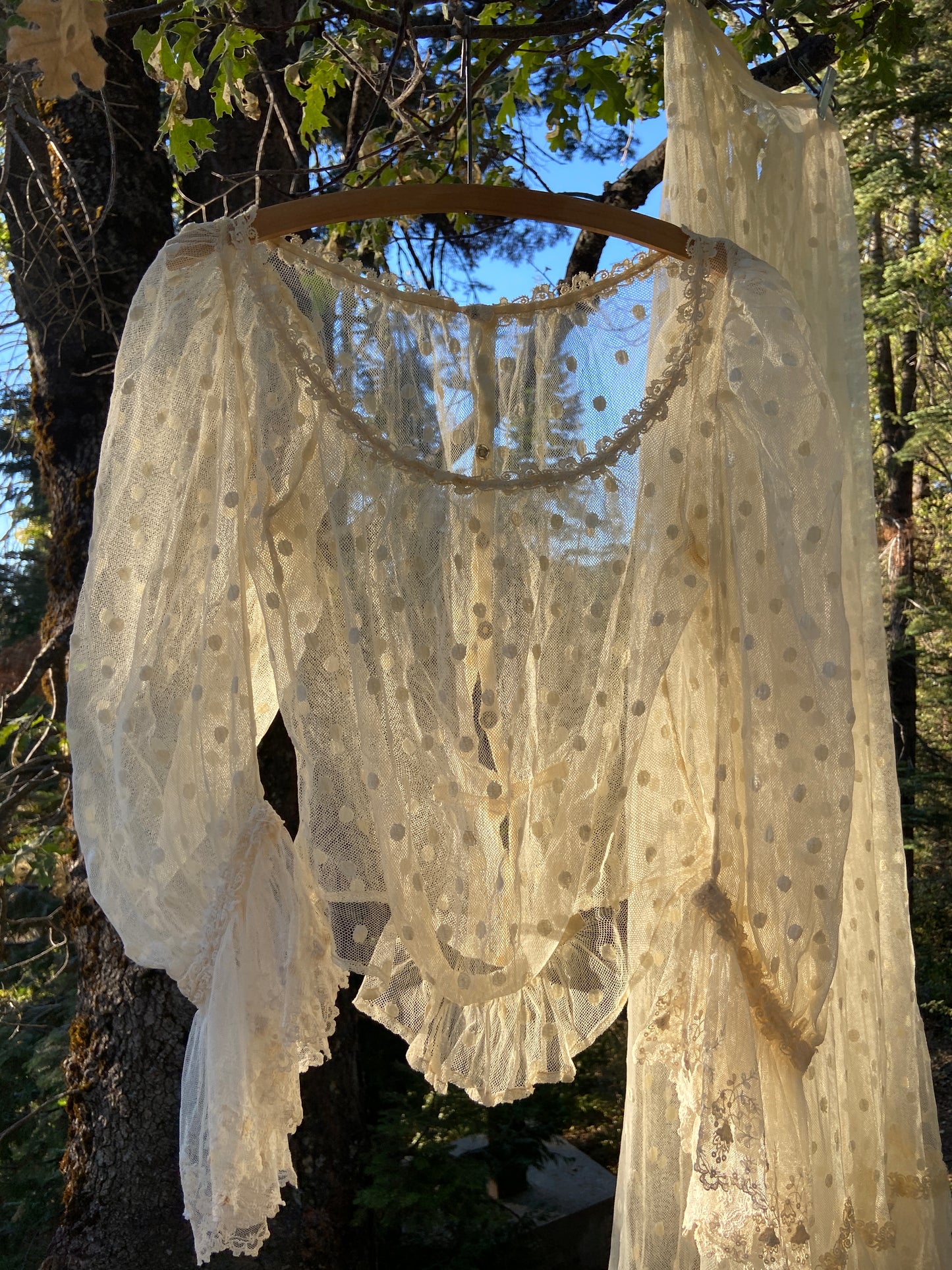 Edwardian Polka Dot Net Lace Dress