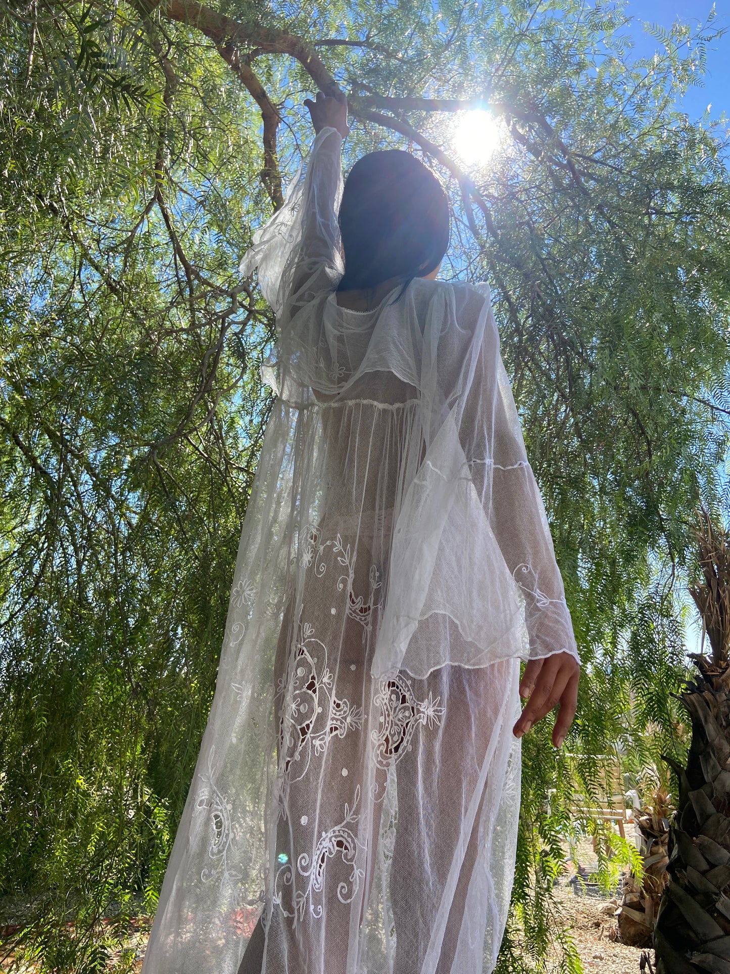1800s Tambour Lace Bell Sleeve Gown