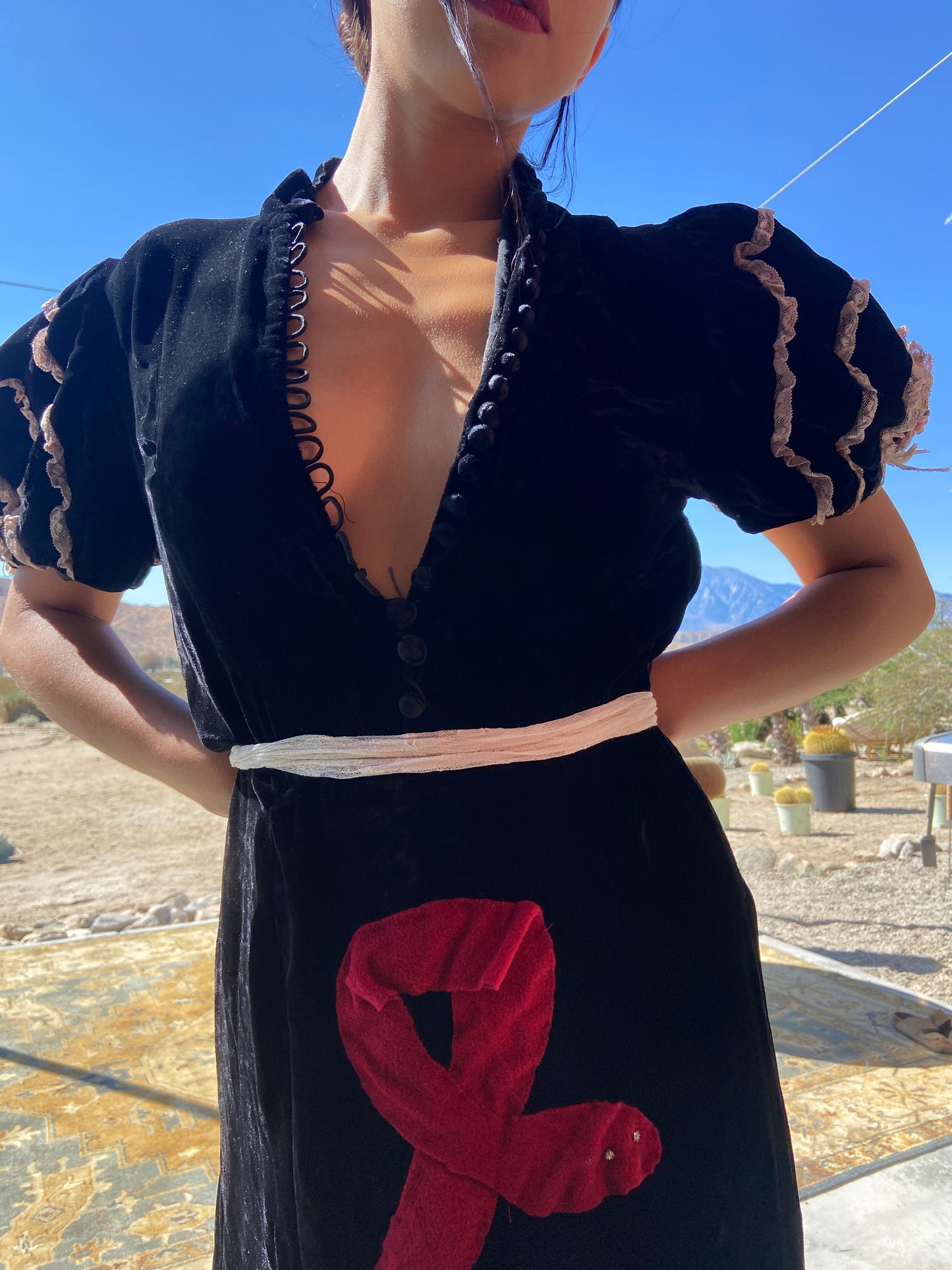 1940s Noir Silk Velvet Snake Appliqué Dress