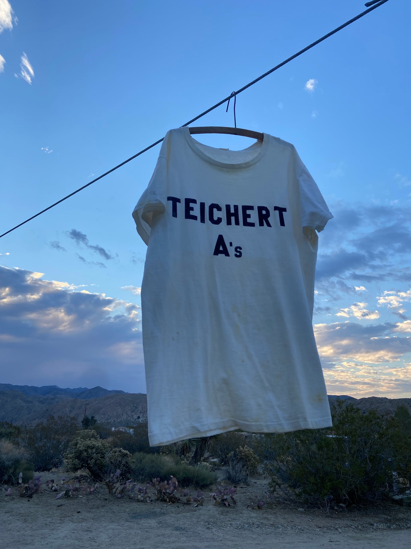 1940s/50s Flocked Teicher A Tee
