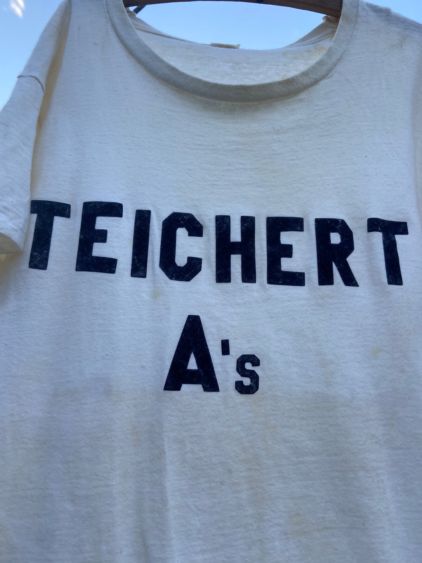 1940s/50s Flocked Teicher A Tee