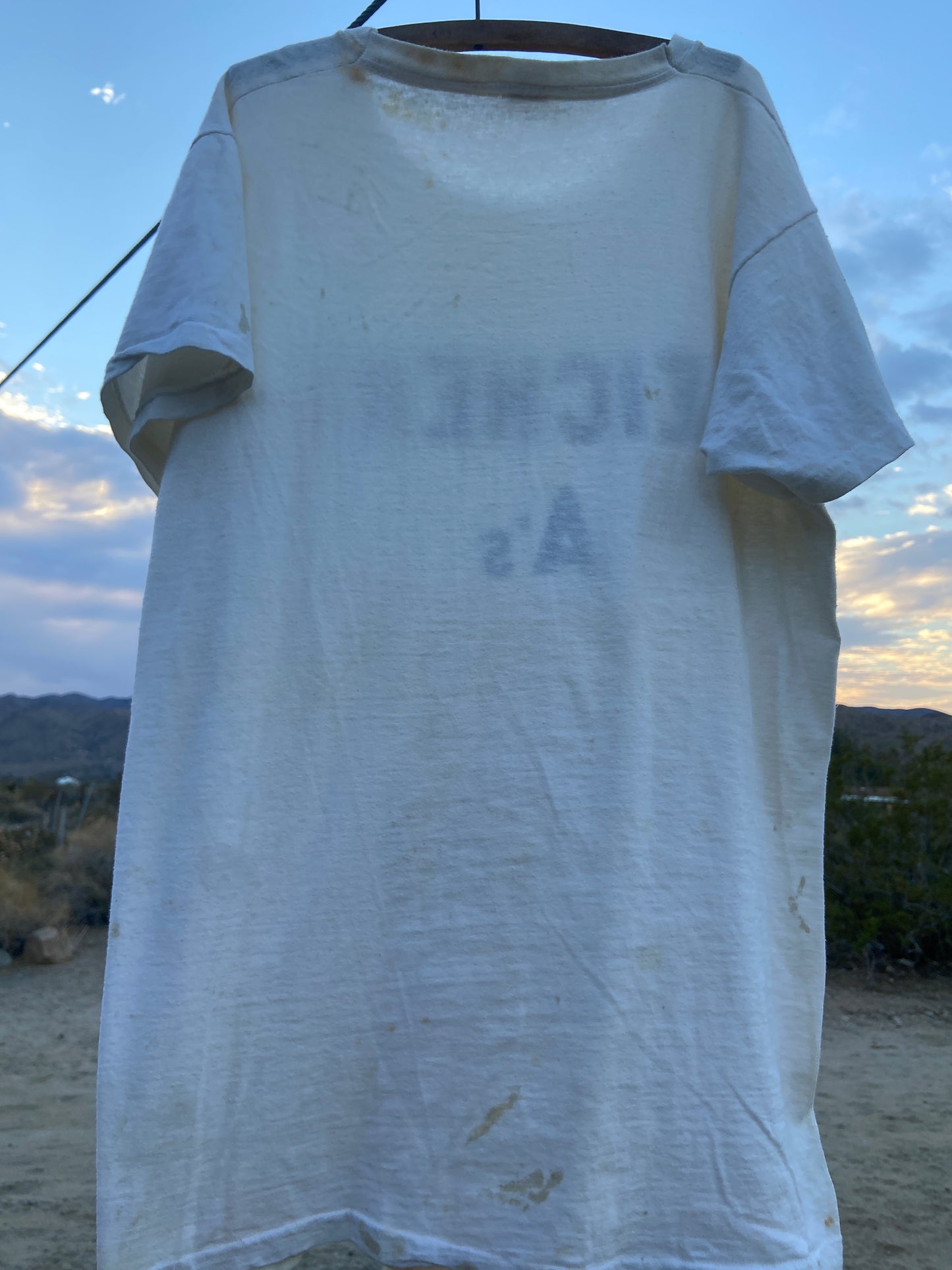1940s/50s Flocked Teicher A Tee
