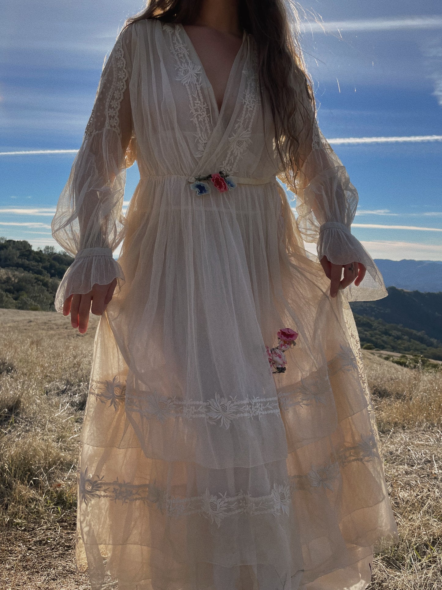 RESERVED Antique 1916 Embroidered Net Hoop Skirt Gown Volup