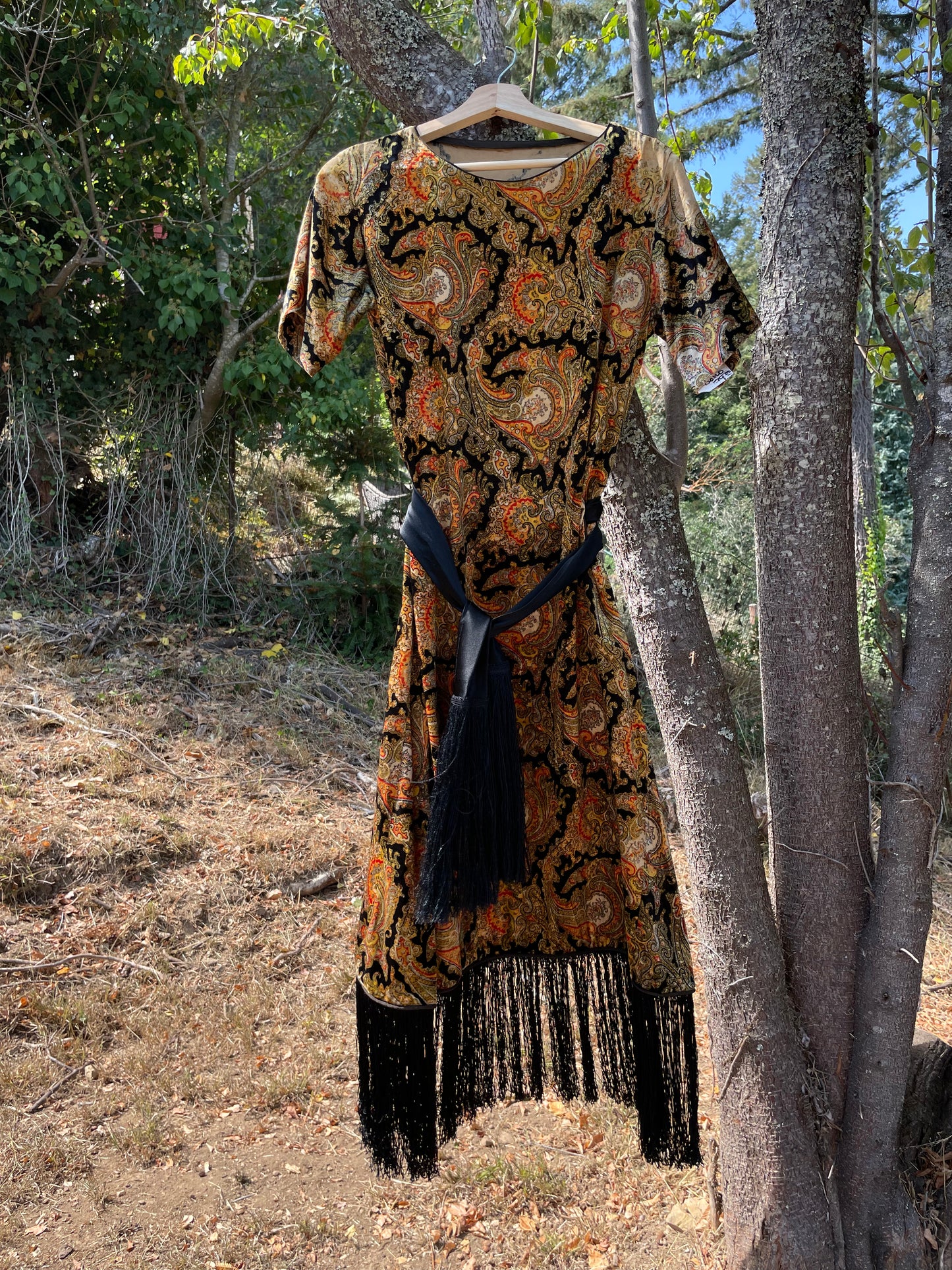 Rare 1920s Fringe Paisley Velvet Dress