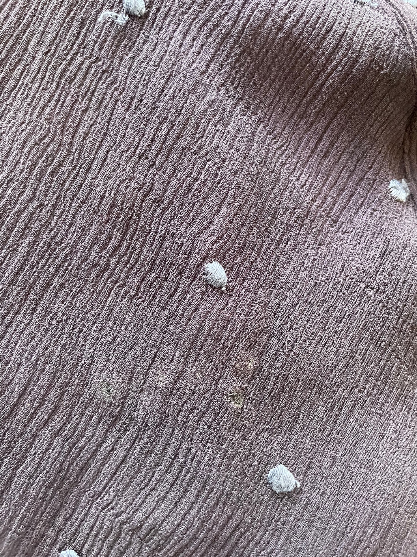 Antique 1920s Swiss Dot Chiffon Dress