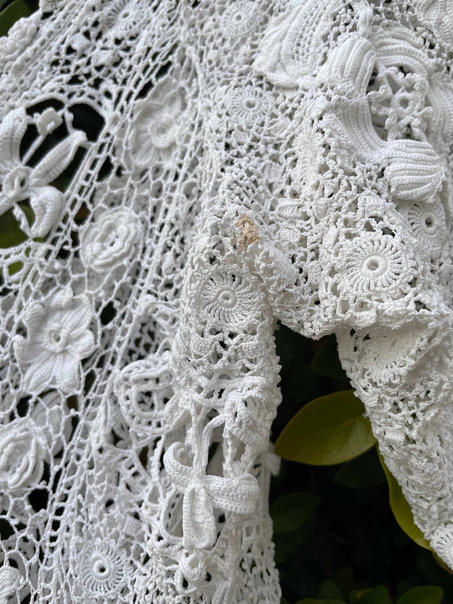 Rare Titanic Era Irish Lace Gown