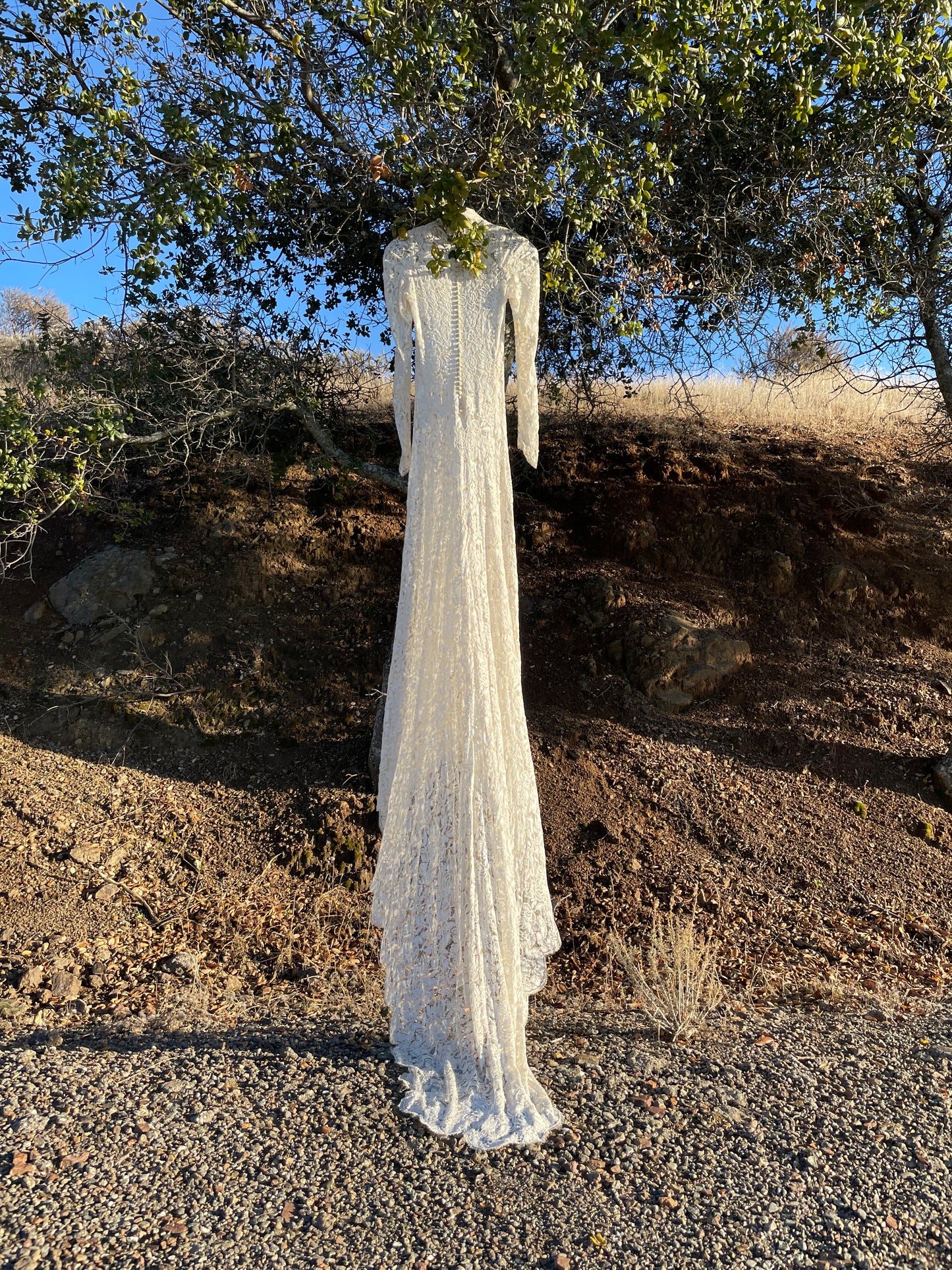 1930s Ivory Lace Button Back Trained Wedding Gown