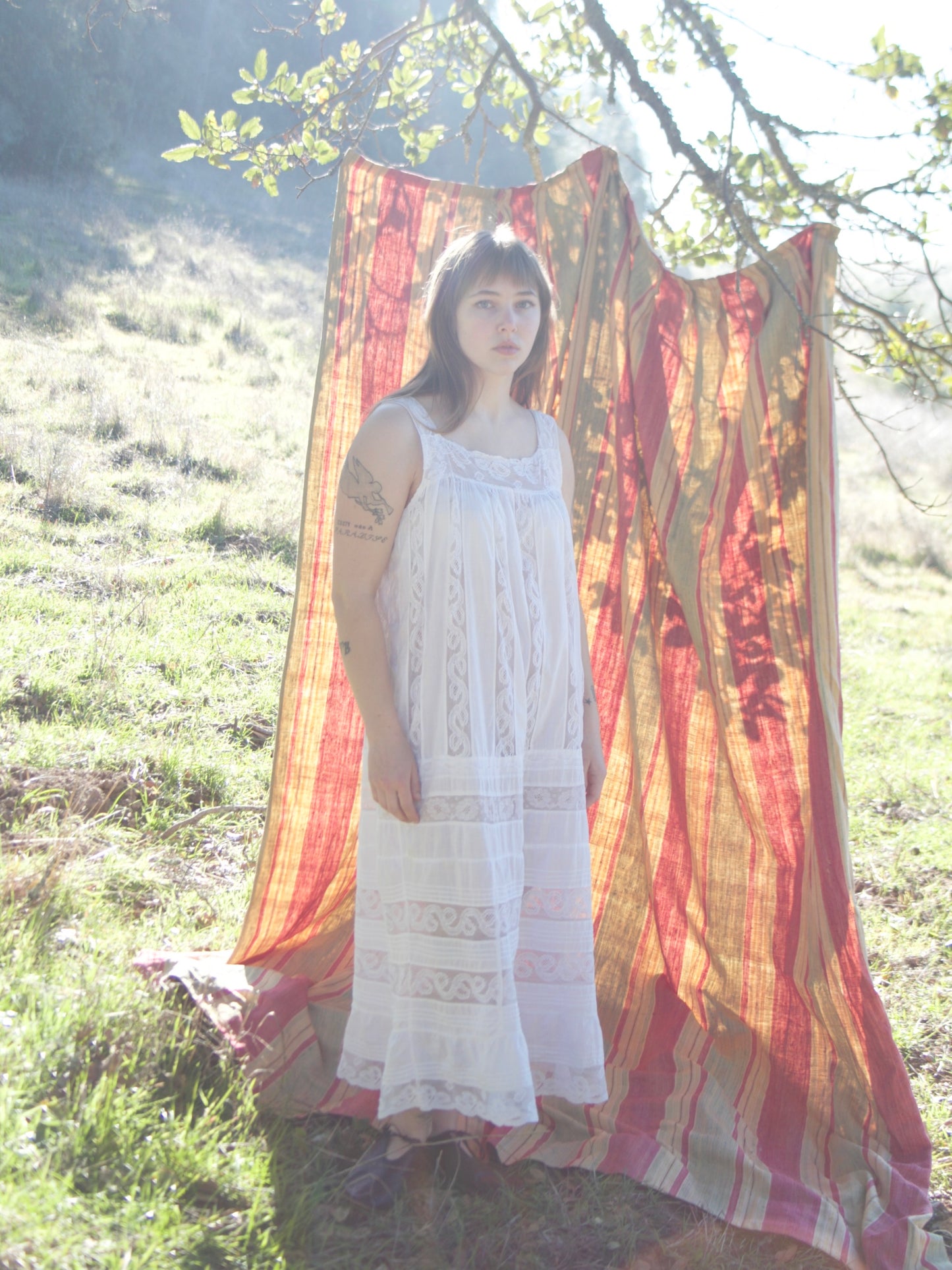 Edwardian Inset Lace Cotton Chemise Pintuck Dress