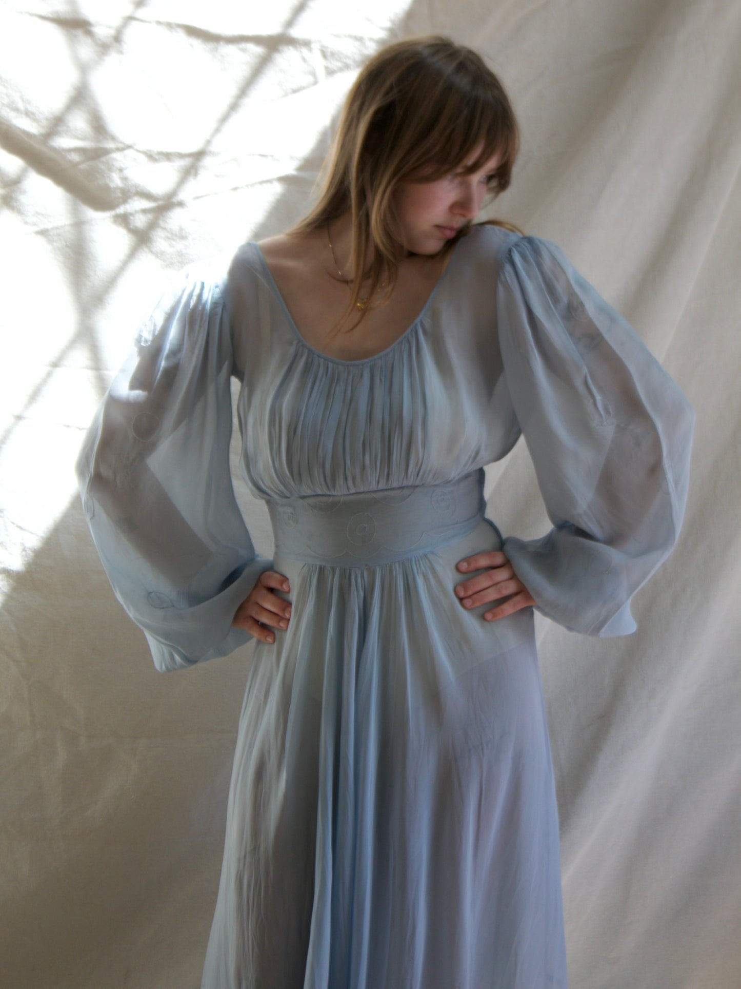 1930s Balloon Sleeve Baby Blue Sheer Gown