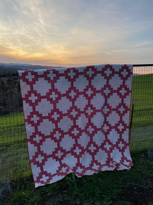 1849 Turkey Red Signed Friendship Album Patch Quilt