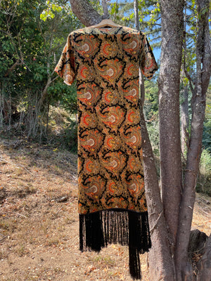 Rare 1920s Fringe Paisley Velvet Dress